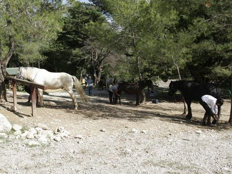 Poney Club de Réganel