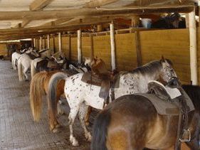 Ranch Saint Jean