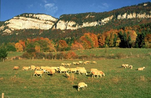 Randonnée pédestre et séjour avec Versant Nature