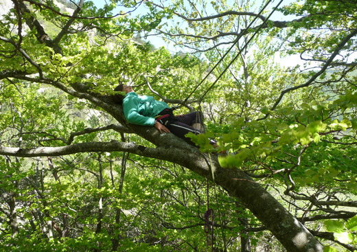 Sam'Branche-Grimpe Dans les Arbres