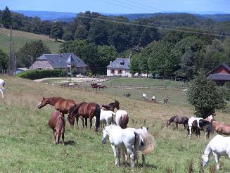 Ferme Equestre de Mialaret