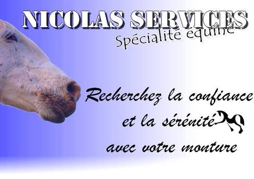 Service Dressage Débourrage Cheval