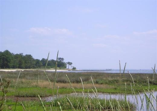 Sites des Quinconces Saint-Brice