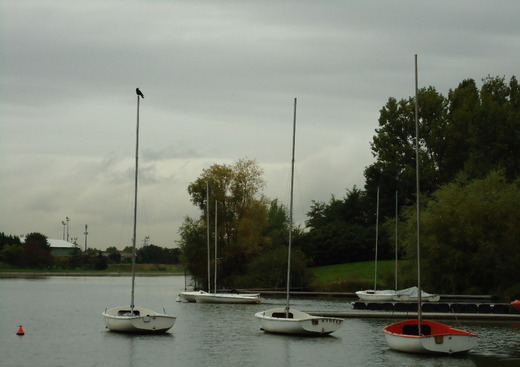 Club Nautique de Choisy le Roi - SCCR Voile