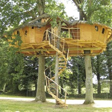 Sur un arbre perché