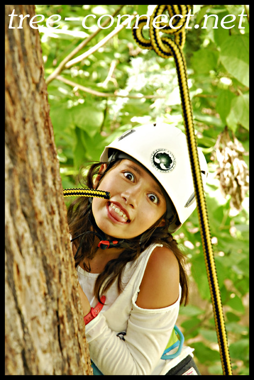 Tree Connect