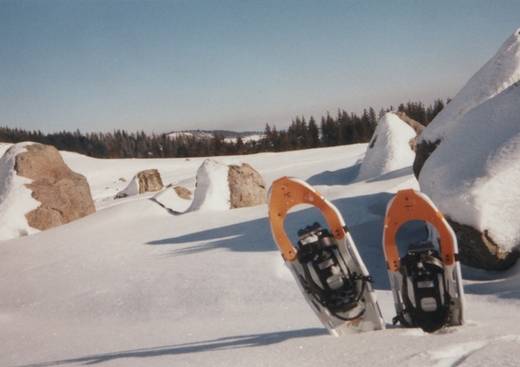 Triple Buse