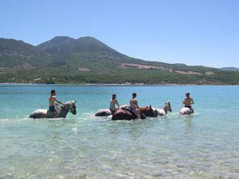 Verdon Équitation