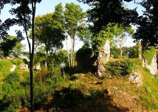 Vestiges du Château de Montfort