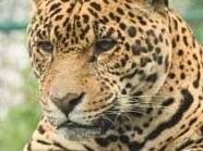 Zoo d'Amneville