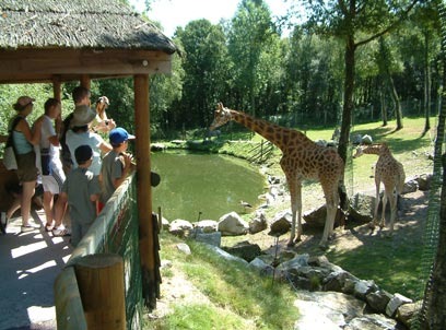Zoo de Jurques
