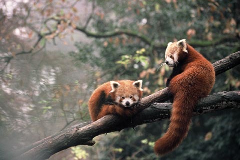 Zoo des Sables D'Olonne