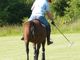 Photo Anjou Polo Club