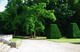Photo Donjon et Parc du Château de Vic Sur Aisne