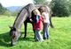 Photo Ferme Equestre du Chauffour