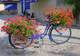 Photo La Bicyclette Bleue