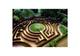 Photo Labyrinthe géant vers Montpellier pour un enfant