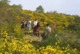 Photo Promenade à cheval pour junior (30 min)